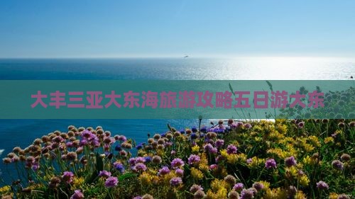 大丰去三亚大东海五日游