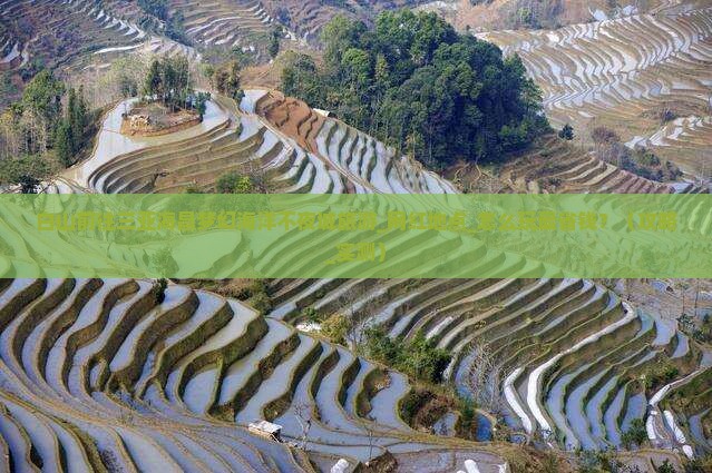 白山前往三亚海昌梦幻海洋不夜城旅游网红地点