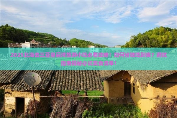 北海去三亚皇后湾旅游小吃