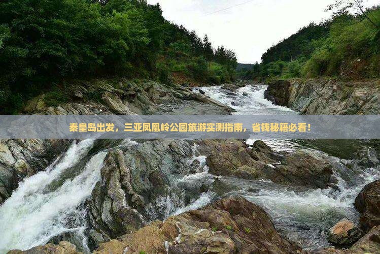 秦皇岛出发三亚凤凰岭公园旅游