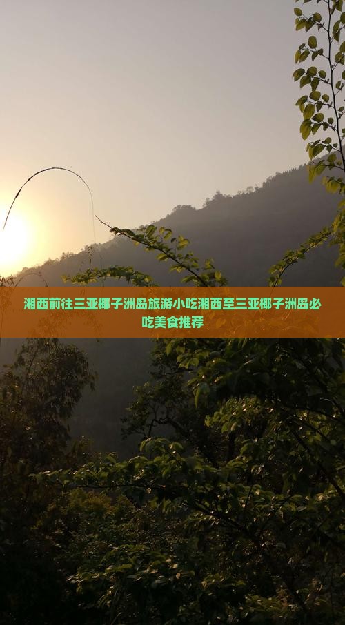 湘西前往三亚椰子洲岛旅游小吃