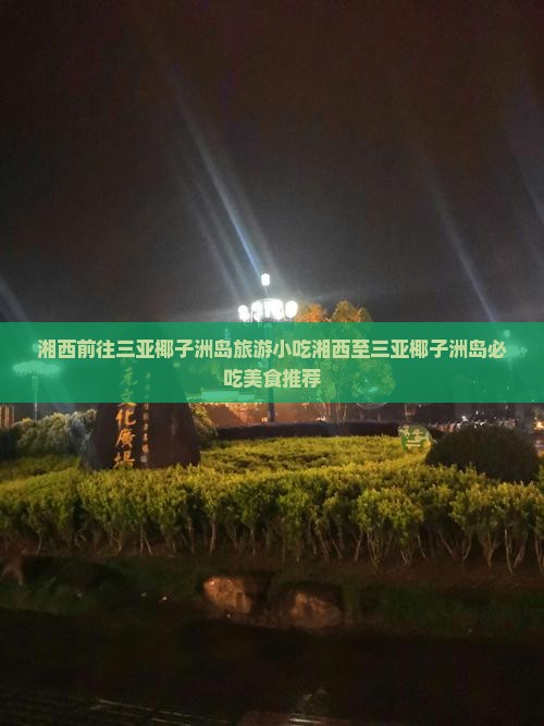 湘西前往三亚椰子洲岛旅游小吃