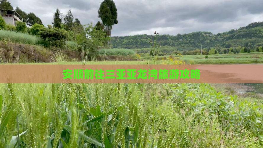 安顺前往三亚亚龙湾攻略
