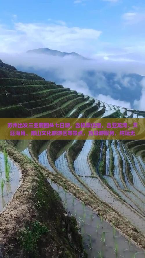 苏州出发三亚鹿回头七日游