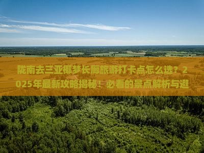 陇南去三亚椰梦长廊旅游打卡点 陇南去三亚椰梦长廊旅游打卡点