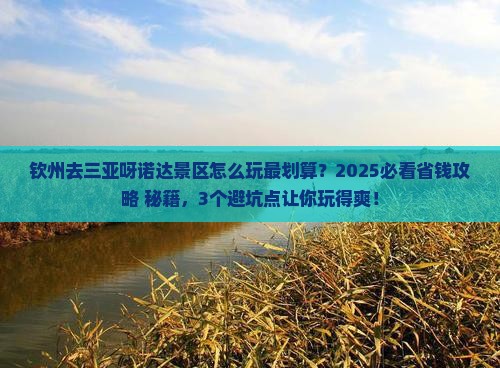 钦州前往三亚呀诺达景区哪里玩