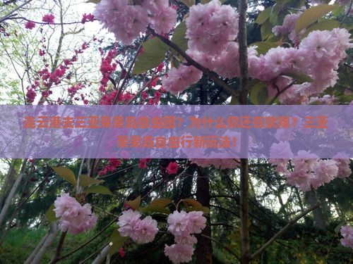连云港去三亚呆呆岛自由团