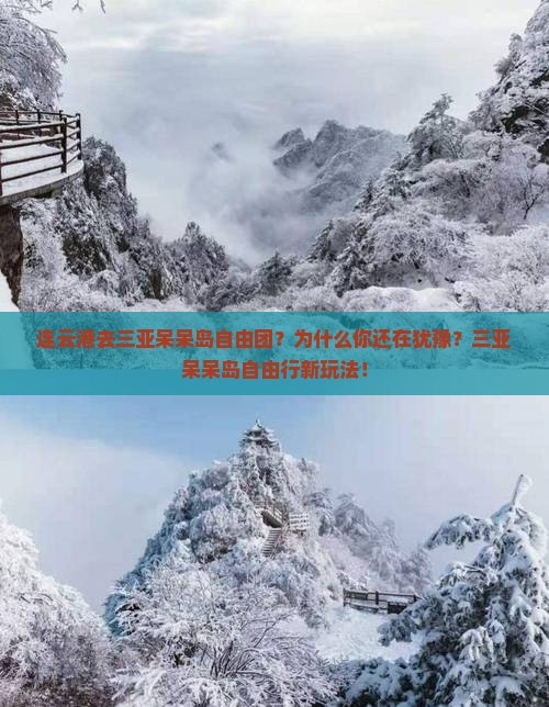 连云港去三亚呆呆岛自由团