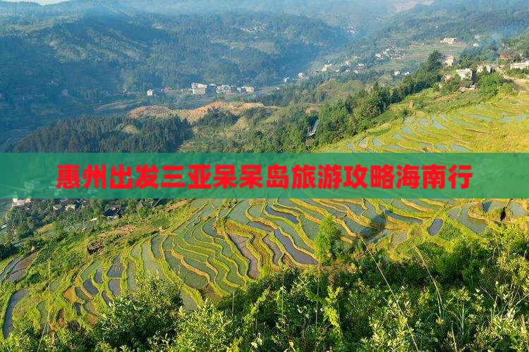 惠州前往三亚呆呆岛旅游