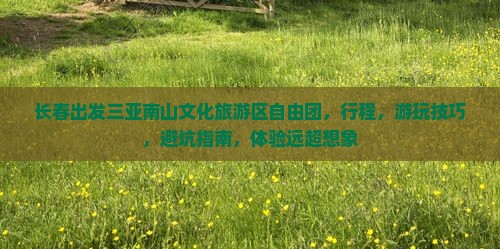 长春出发三亚南山文化旅游区自由团