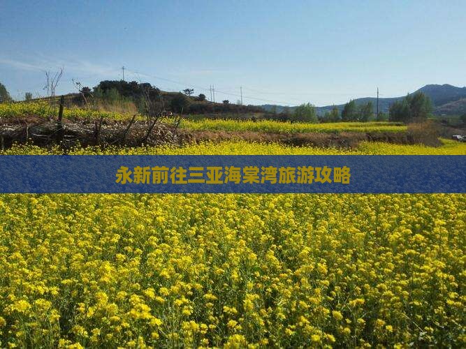 永新前往三亚海棠湾旅游