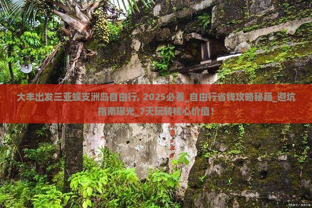 大丰出发三亚蜈支洲岛自由行