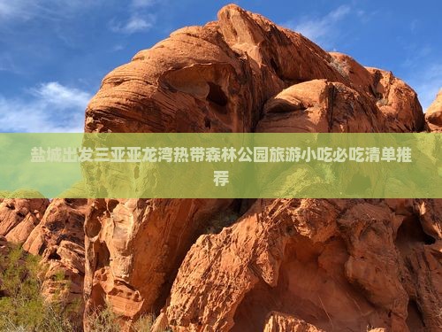 盐城出发三亚亚龙湾热带森林公园旅游小吃
