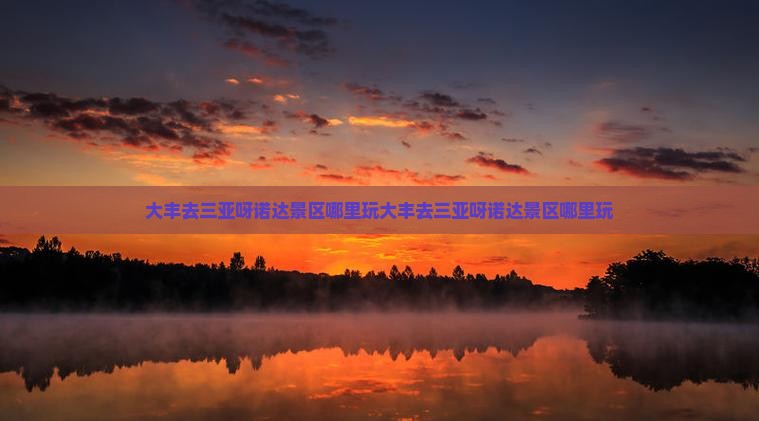 大丰去三亚呀诺达景区哪里玩