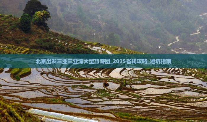 北京出发三亚三亚湾大型旅游团
