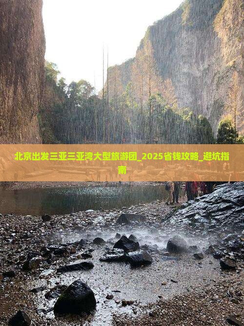 北京出发三亚三亚湾大型旅游团