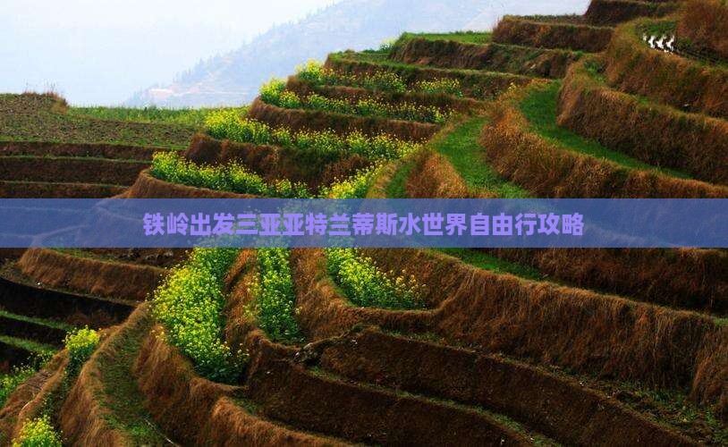 铁岭出发三亚亚特兰蒂斯水世界自由行