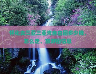 怀化去三亚三亚湾自由团