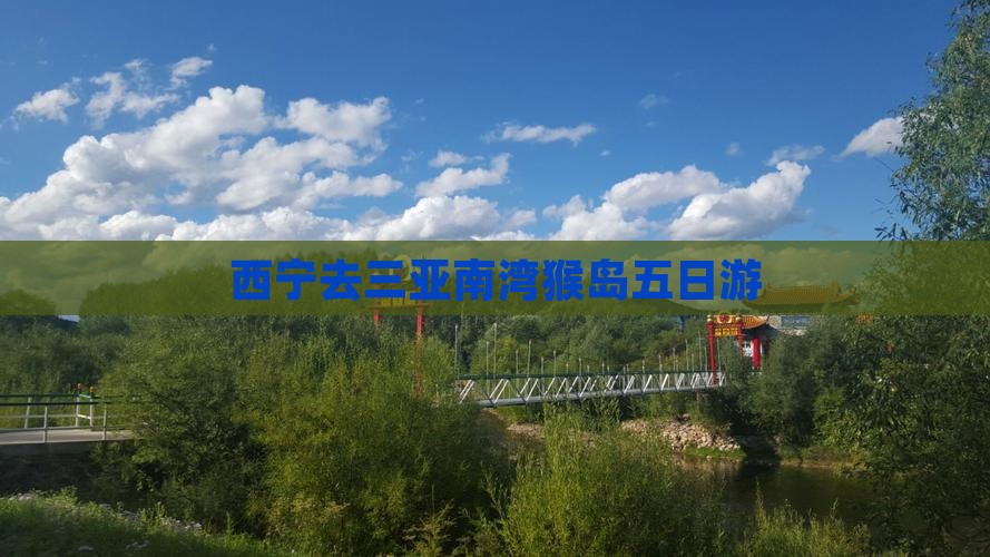 西宁去三亚南湾猴岛五日游
