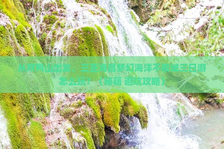 双鸭山出发三亚海昌梦幻海洋不夜城三日游
