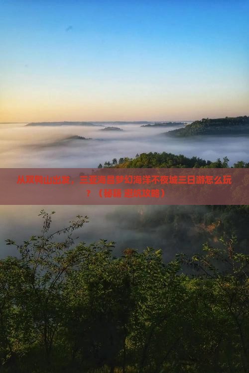 双鸭山出发三亚海昌梦幻海洋不夜城三日游