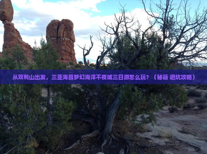 双鸭山出发三亚海昌梦幻海洋不夜城三日游