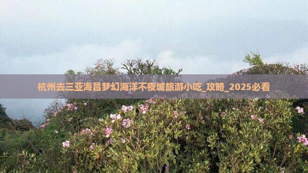 杭州去三亚海昌梦幻海洋不夜城旅游小吃