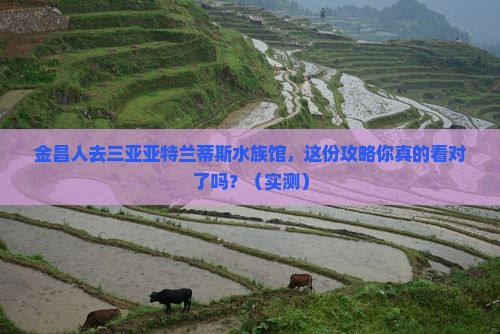 金昌去三亚亚特兰蒂斯水族馆自由团