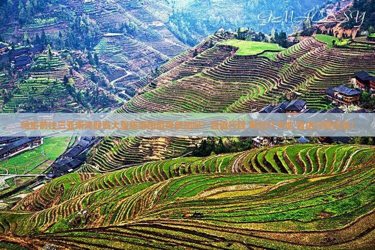 哈密前往三亚南湾猴岛大型旅游团