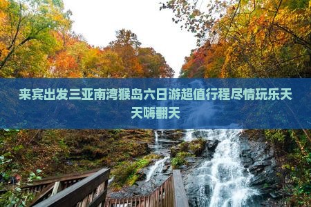 来宾出发三亚南湾猴岛六日游