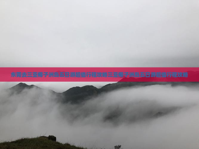 东莞去三亚椰子洲岛五日游