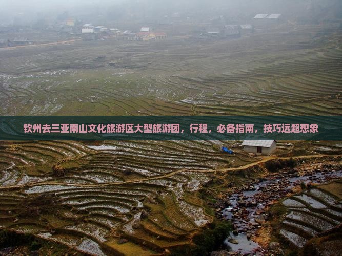 钦州去三亚南山文化旅游区大型旅游团