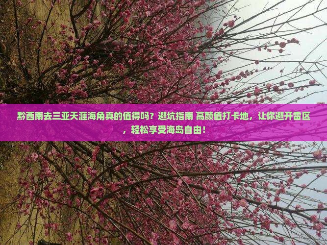 黔西南前往三亚天涯海角攻略