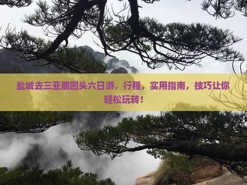 盐城去三亚鹿回头六日游