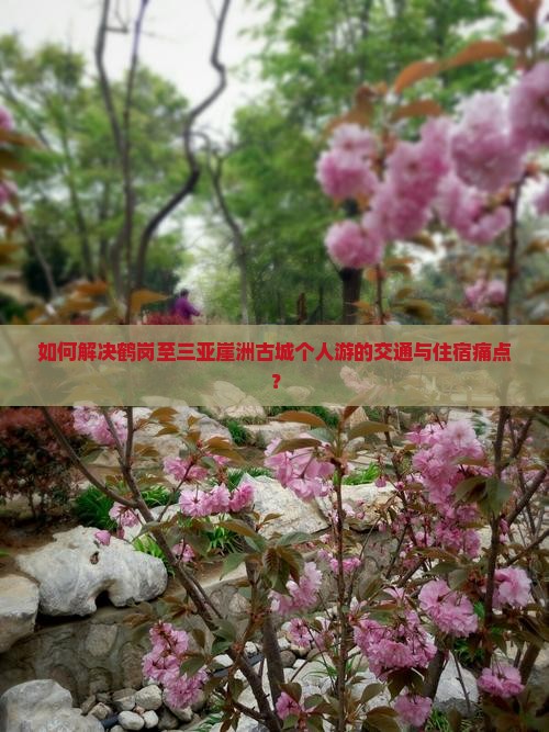 如何解决鹤岗至三亚崖洲古城个人游的交通与住宿痛点? 如何解决鹤岗至三亚崖洲古城个人游的交通与住宿痛点?