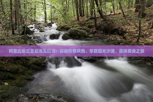 阿里出发三亚后海五日游：探秘热带风情、享受阳光沙滩、品味美食之旅