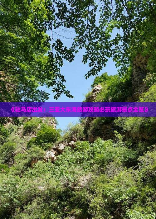 《驻马店出发：三亚大东海旅游攻略必玩旅游景点全览》