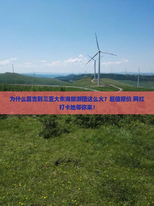为什么昌吉到三亚大东海旅游团这么火?超值报价+网红打卡地等你来! 为什么昌吉到三亚大东海旅游团这么火?超值报价+网红打卡地等你来!