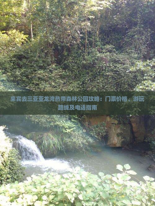 来宾去三亚亚龙湾热带森林公园攻略：门票价格、游玩路线及电话指南