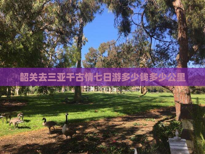 韶关去三亚千古情七日游多少钱多少公里