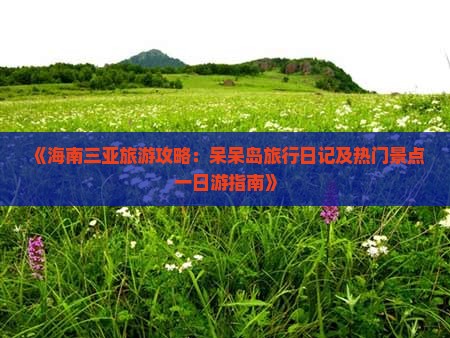《海南三亚旅游攻略：呆呆岛旅行日记及热门景点一日游指南》