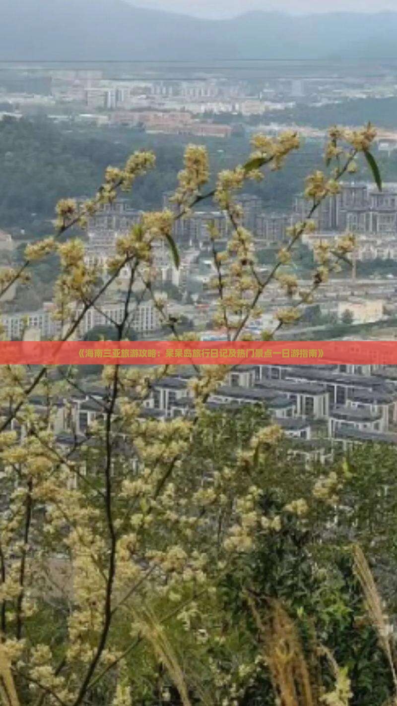 《海南三亚旅游攻略：呆呆岛旅行日记及热门景点一日游指南》