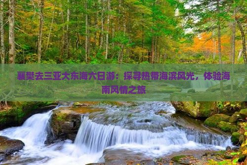 襄樊去三亚大东海六日游：探寻热带海滨风光，体验海南风情之旅