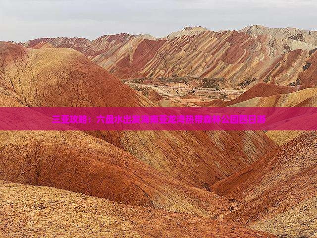 三亚攻略：六盘水出发海南亚龙湾热带森林公园四日游