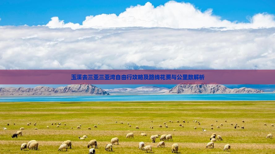 玉溪去三亚三亚湾自由行攻略及路线花费与公里数解析
