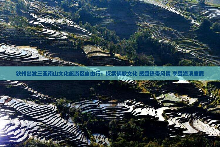 钦州出发三亚南山文化旅游区自由行：探索佛教文化 感受热带风情 享受海滨度假