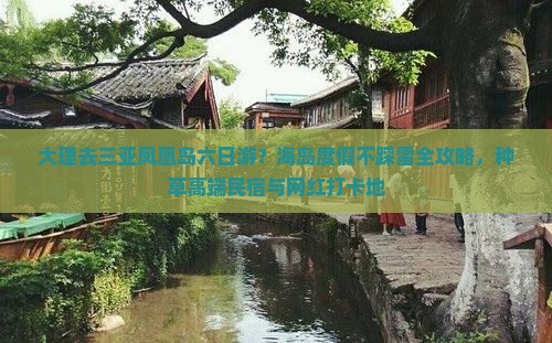 大理去三亚凤凰岛六日游？海岛度假不踩雷全攻略，种草高端民宿与网红打卡地