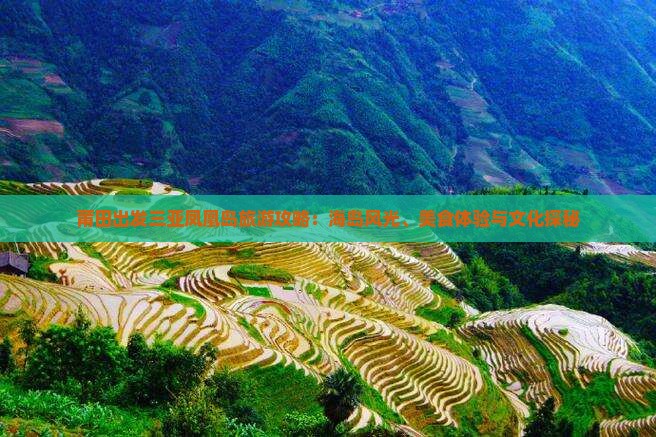 莆田出发三亚凤凰岛旅游攻略：海岛风光、美食体验与文化探秘
