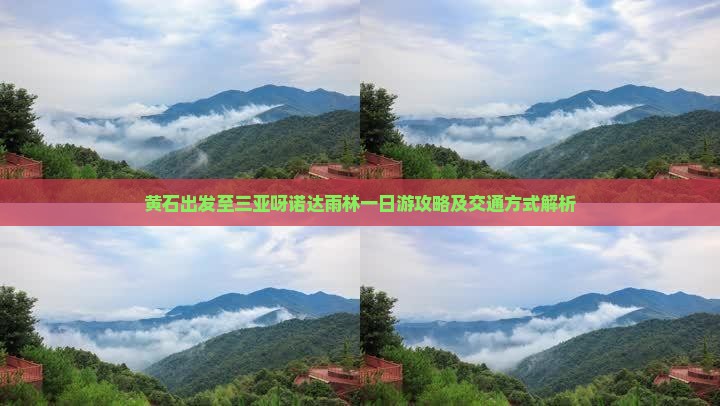黄石出发至三亚呀诺达雨林一日游攻略及交通方式解析