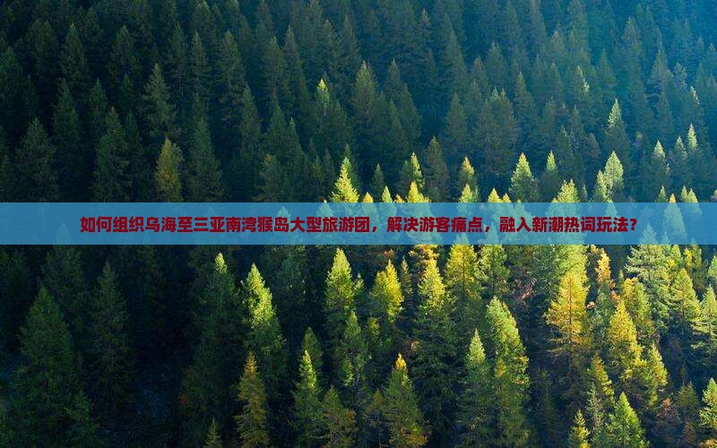 如何组织乌海至三亚南湾猴岛大型旅游团，解决游客痛点，融入新潮热词玩法？